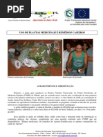 Uso de Plantas Medicinais e Remedios Caseiros