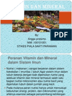 Angga_vitamin Dan Mineral