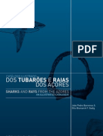 Catálogo ilustrado dos Tubarões e Raias dos Açores