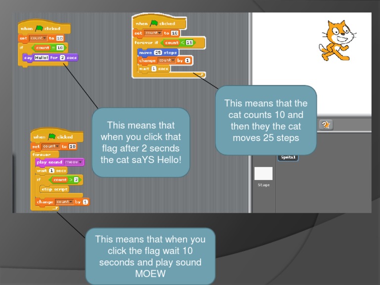 Interactive Cat Sound and Movement Game | PDF