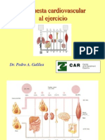 Respuesta Cardiovascular Al Ejercicio