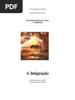 A  IMIGRAÇÃO