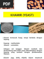 Download Khamir Yeast by Lukas Kusuma Triyono SN139088543 doc pdf