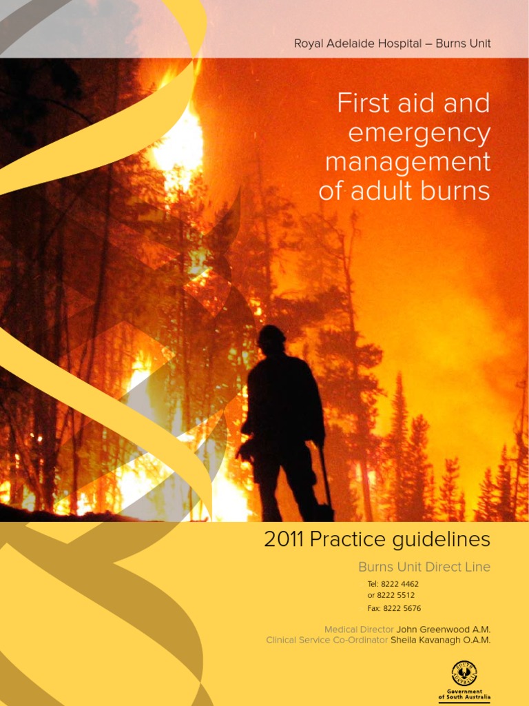 First Aid Book2011for Web | PDF | Burn | Wound