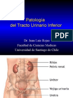 19 20-Uropatología (Vejiga, próstata, testiculo y pene)