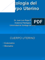 37-Cuerpo Uterino