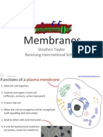 2 4-Membranes - Ib Biology