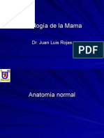 40-Patología Mamaria Benigna y Maligna