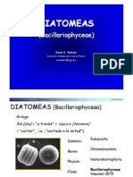 12_Diatomeas