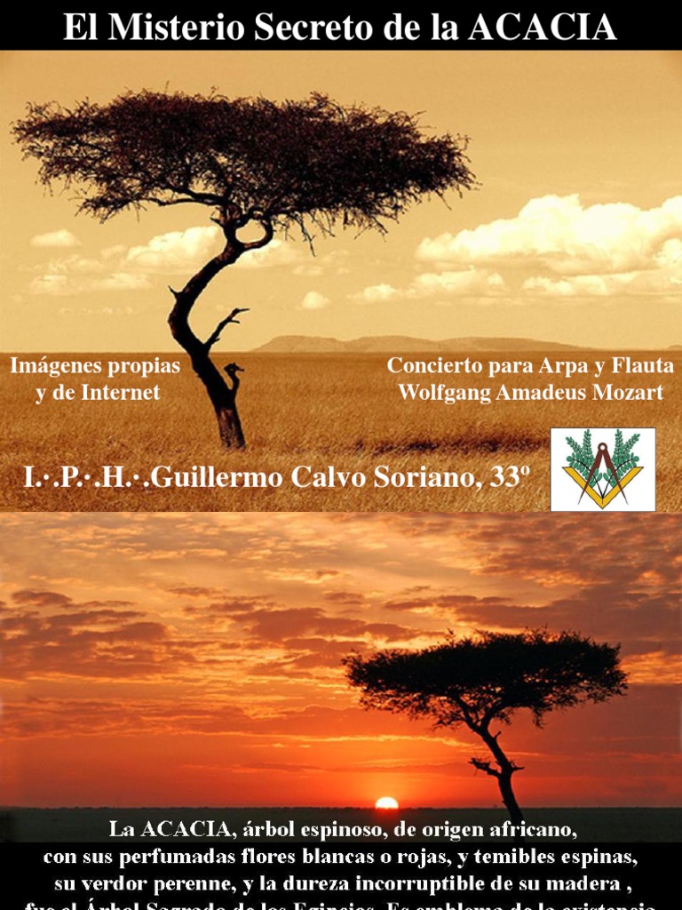 El Misterio Secreto de La Acacia  PDF