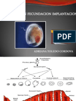 1.-Fecundacion 1