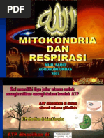 Download Respirasi farid by wahyusoil unhas SN13917943 doc pdf