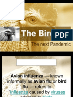 Bird Flu Presentation