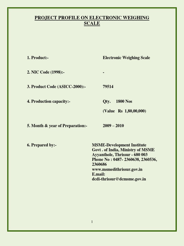 Electronic Weighing Scale PDF Expense Depreciation
