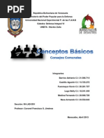 Conceptos Basicos (Consejos Comunales) Defensa