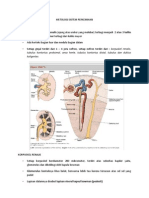 Histologi Sistem Perkemihan