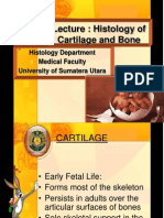 Lecture Cartilage and Bone 2009