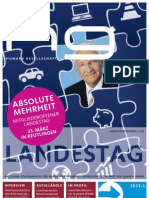 hg 2013.1 | Landestag