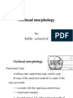 Occlusal Morphology