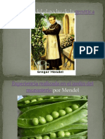 Gregorio Mendel y Sus Leyes