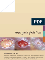 Guia Practica Heridas Cronicas-Cuidados PDF