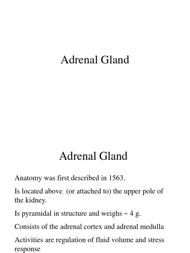 Adrenal Gland Anatomy and Hormones | PDF | Wellness