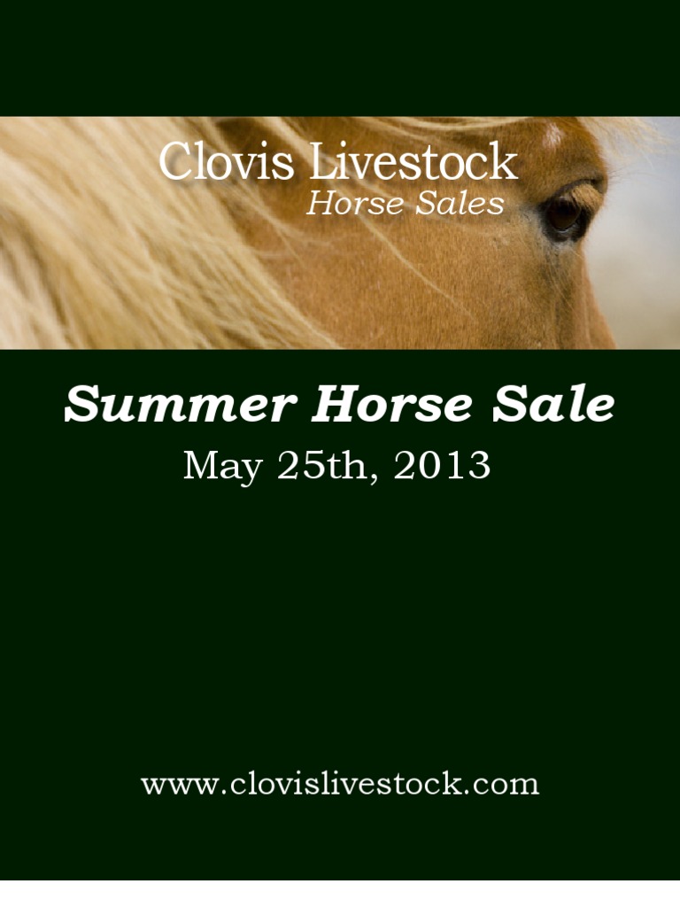 Clovis Horse Sales Summer 2013 Catalog PDF Mare Horse Breeds
