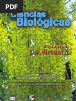 2_Bioquimica_Estrutural