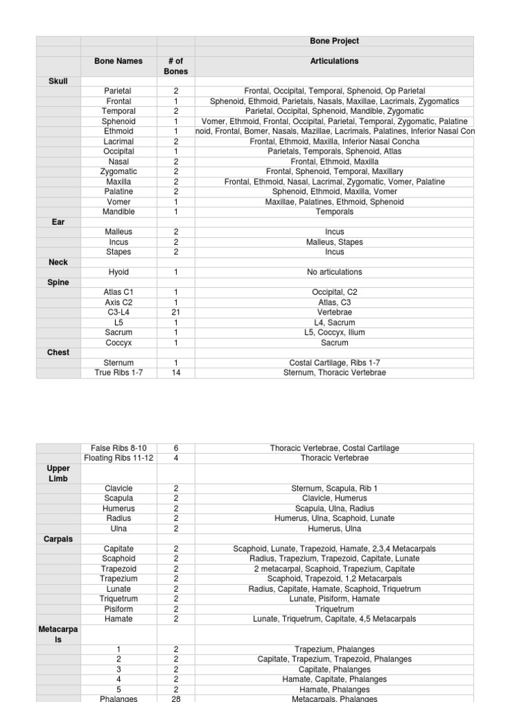 Bone Project Bone Names # of Bones Articulations Skull | PDF | Thorax ...