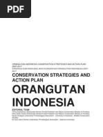 Orangutan Indonesia
