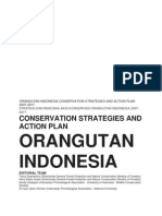 Orangutan Indonesia