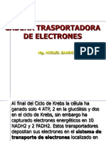 Cap 2.3. Cadena Transporte Electrones