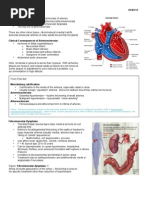 Download Cardiovascular Pathology by zeroun24 SN139340027 doc pdf
