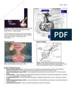 Endocrine Pathology p1-16