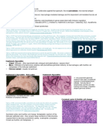 Endocrine Pathology p17-32