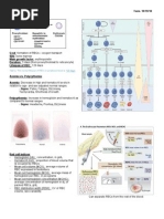 Anemia Classification and Types Chart | PDF | Anemia | Vitamin B12