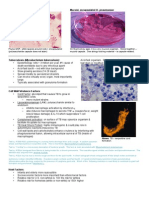 Infectious Disease Pathology p31-55