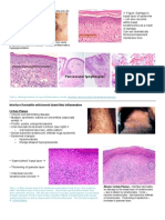 Pages From Pathology Week 5 p15-28