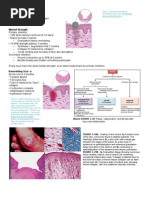 Pathology Week 2 p19-36