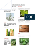 Plantas medicinales