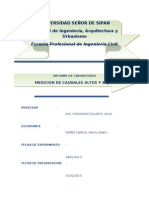 Informe Mfii 01