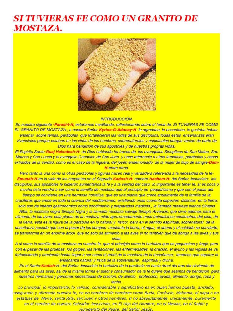 La fe como un grano de mostaza creciendo en fe