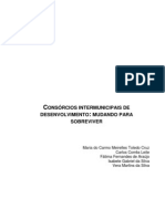 Consórcios Intermunicipais de Desenvolvimento - Mudando para Sobreviver