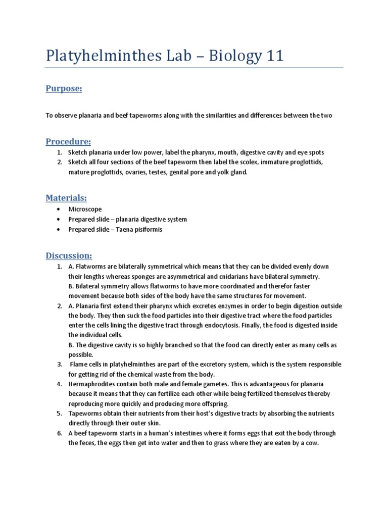 Flatworms case study 07 picture