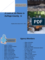 Final Plenary A Look at Six Dams in DuPage County, IL Steve McCracken