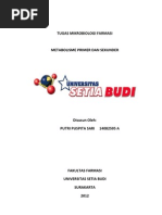 Download Metabolisme Primer Dan Sekunder Rev2 by yosafat mustikoarto SN139372005 doc pdf