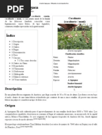 Download Libro Completo by Sergio Andrade SN139378622 doc pdf