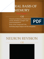 Neural Basis of Memory
