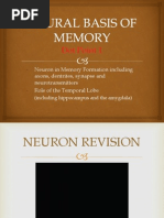 Neural Basis of Memory