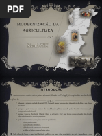 Agricultura Na Segunda Metade Do Seculo XIX